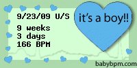 babybpm fetal heart rate gender predictor