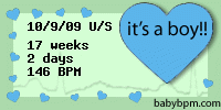 babybpm fetal heart rate gender predictor