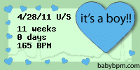 babybpm fetal heart rate gender predictor