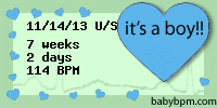 babybpm fetal heart rate gender predictor